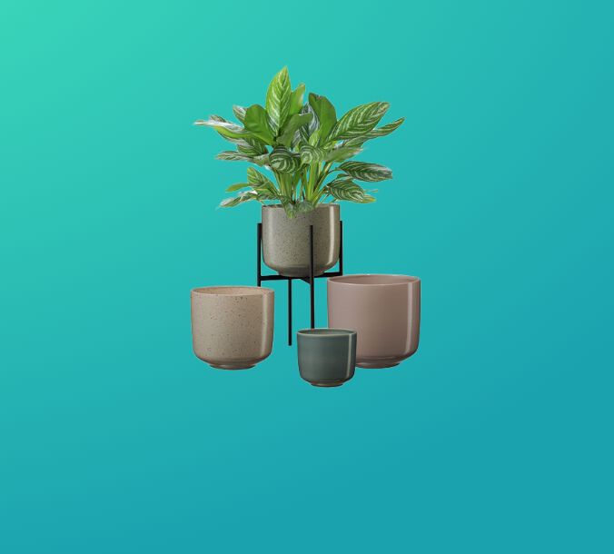 Pots & Planters